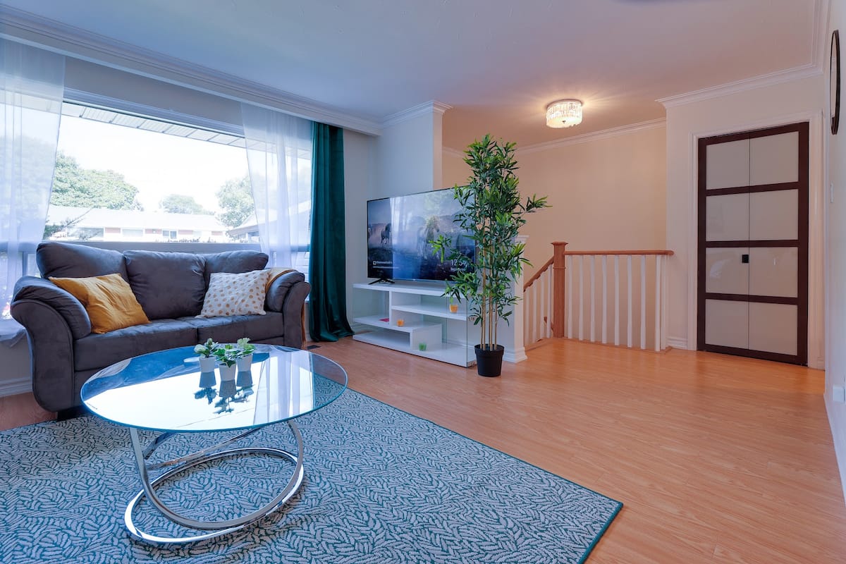 Living room with a television, plant and bright entryway